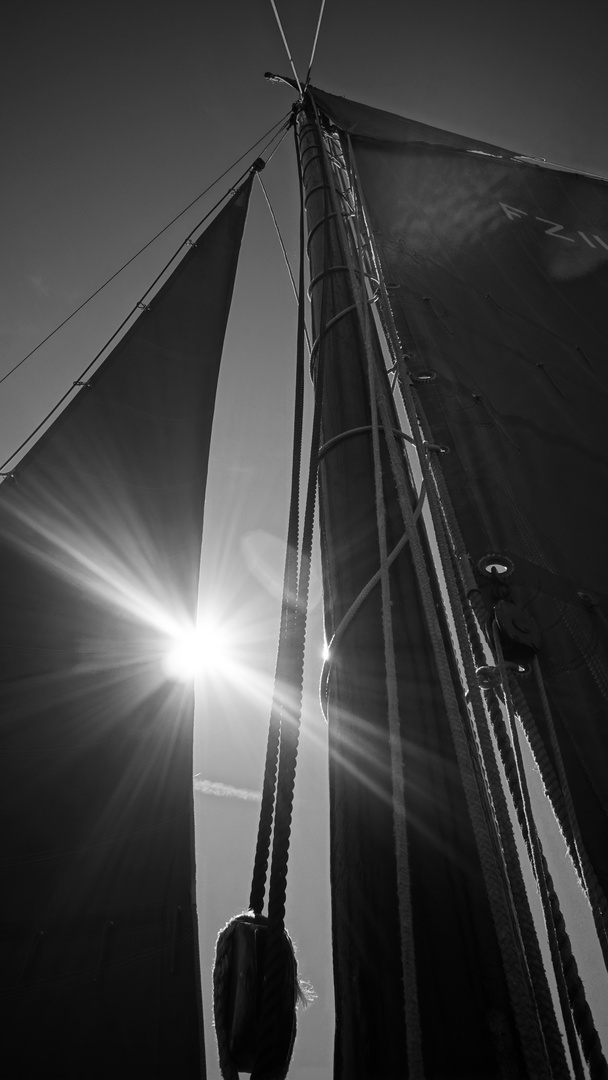 Auf dem Bodden mit dem Zeesenboot 2