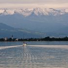 Auf dem Bodensee