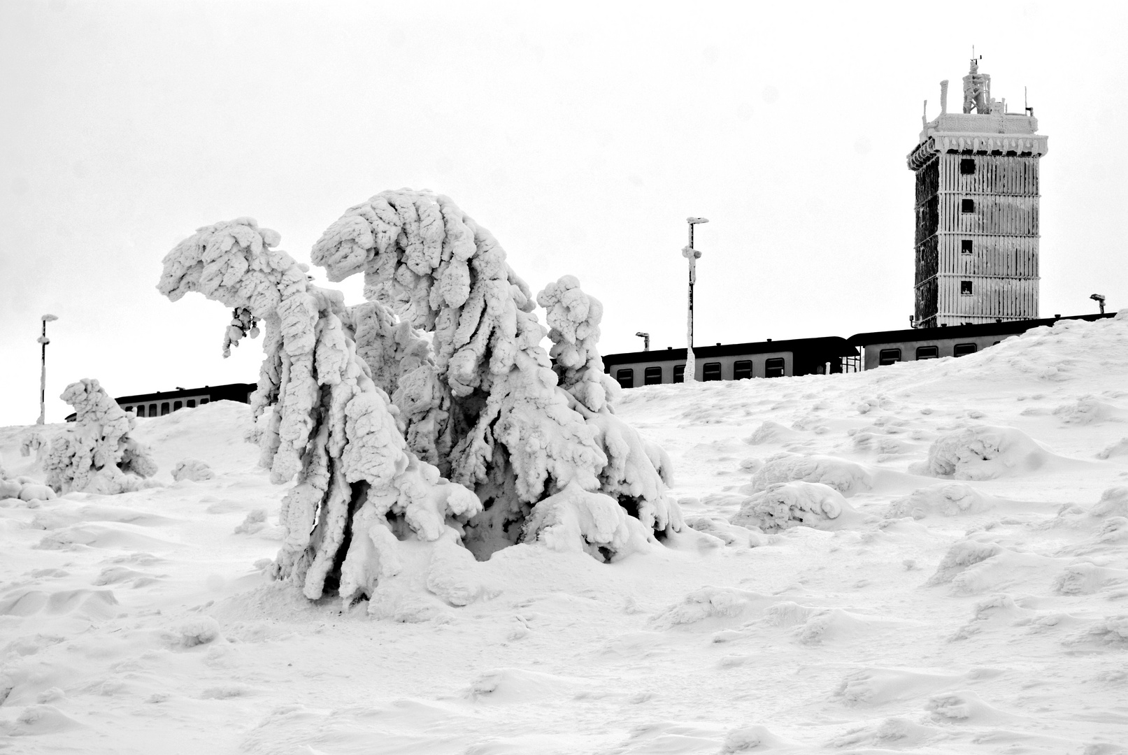 auf dem Brocken