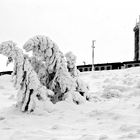 auf dem Brocken