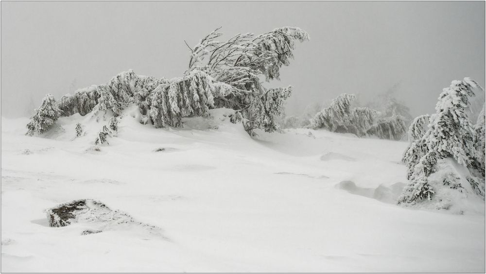 Auf dem Brocken!