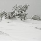 Auf dem Brocken!