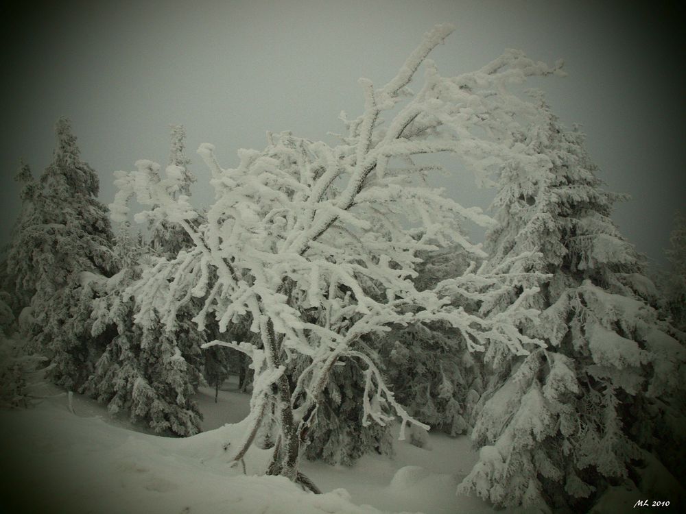 Auf dem Brocken