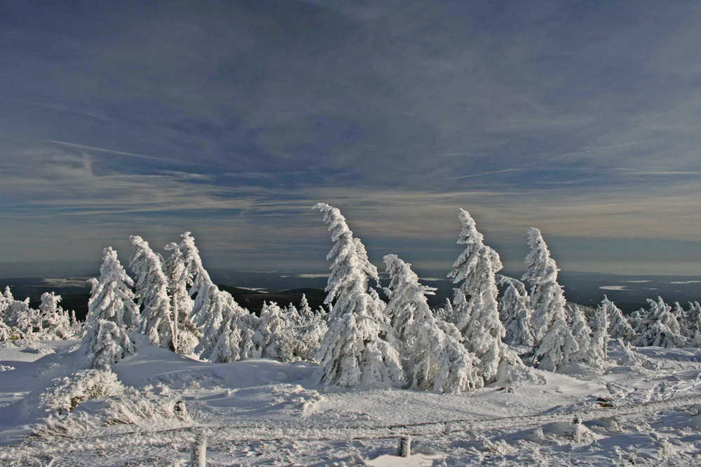 Auf dem Brocken