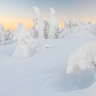 Auf dem Brocken