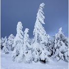 Auf dem Brocken