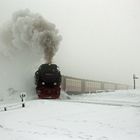 Auf dem Brocken.....