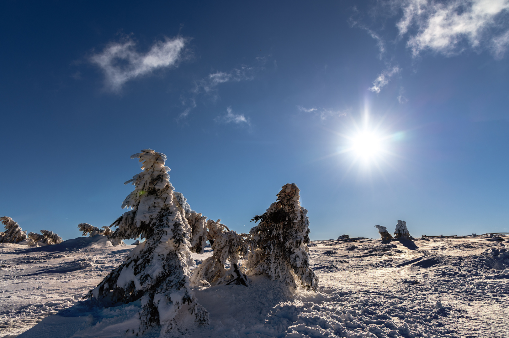 auf dem Brocken