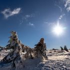 auf dem Brocken