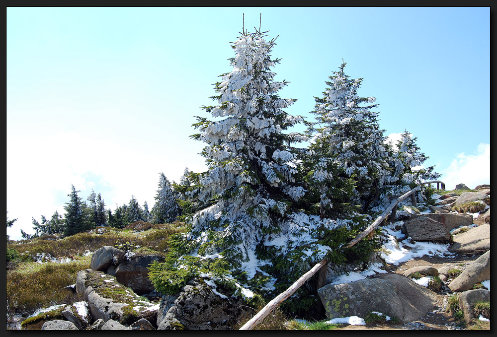 ...Auf dem Brocken...