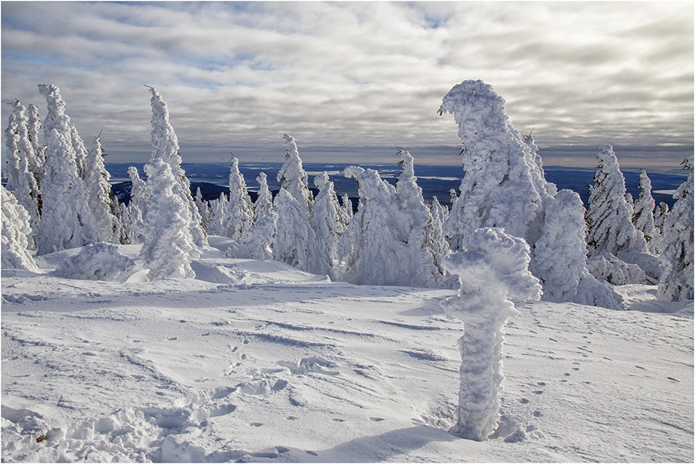 Auf dem Brocken Brocken