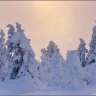 Auf dem Brocken