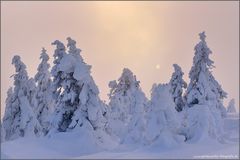 Auf dem Brocken