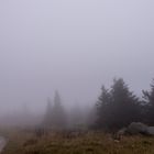 Auf dem Brocken