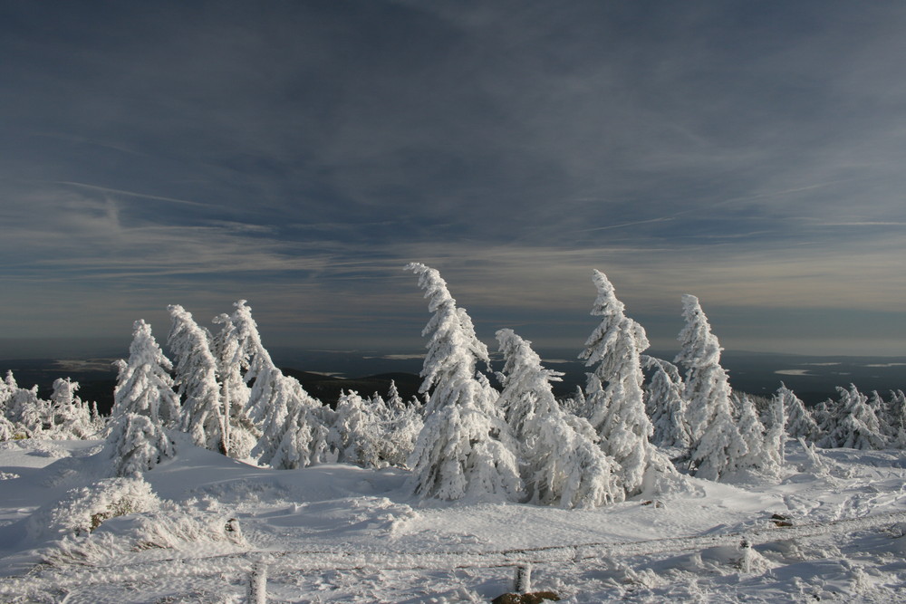 Auf dem Brocken