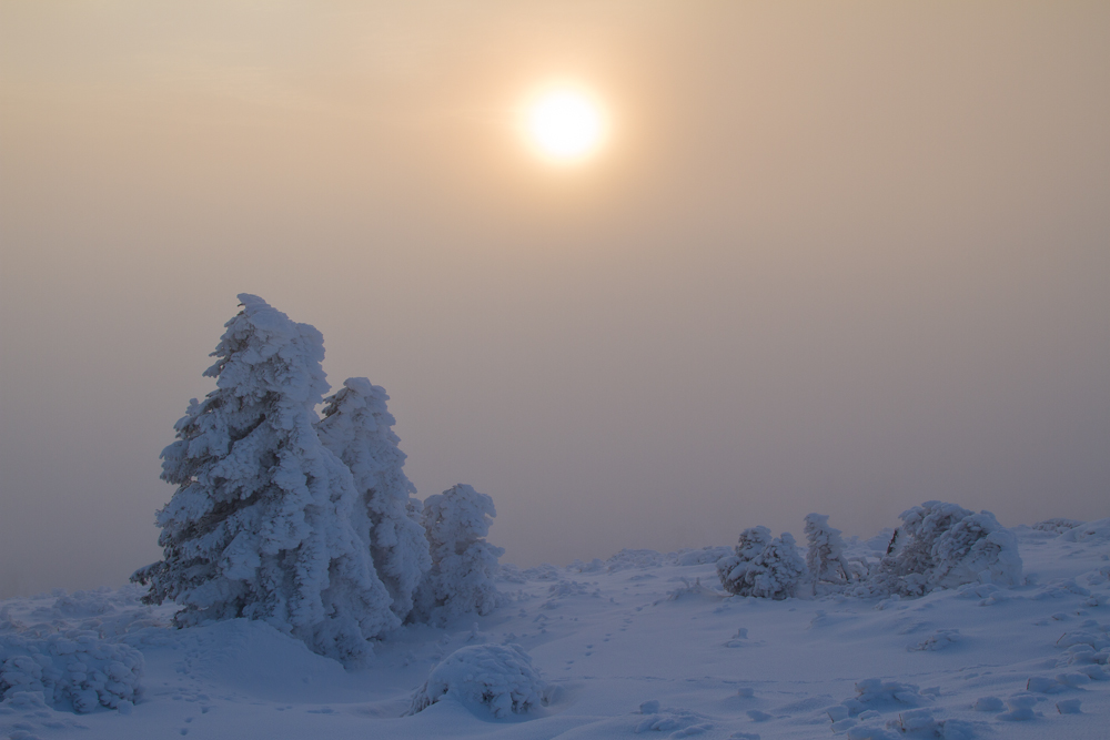 auf dem Brocken II