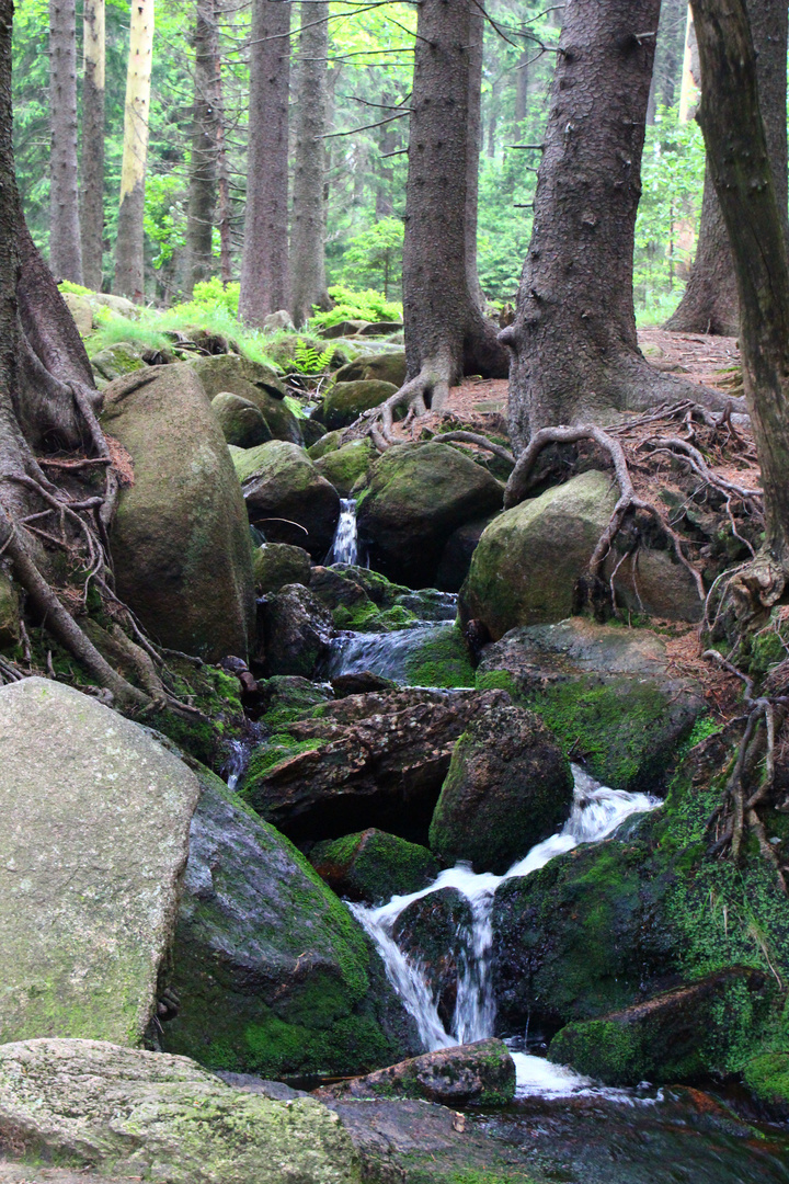 Auf dem Brocken im Harz