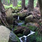 Auf dem Brocken im Harz