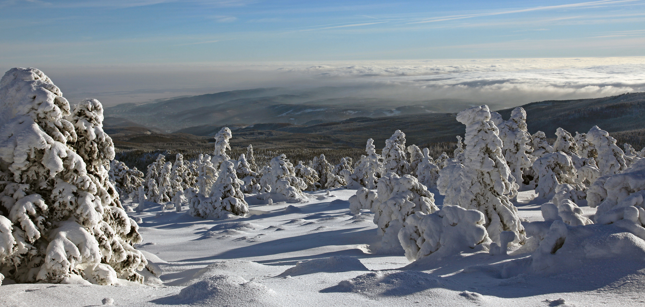 Auf dem Brocken im Januar 2013 (4)