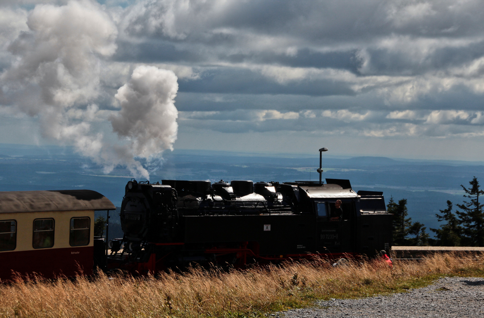 auf dem Brockenplateau