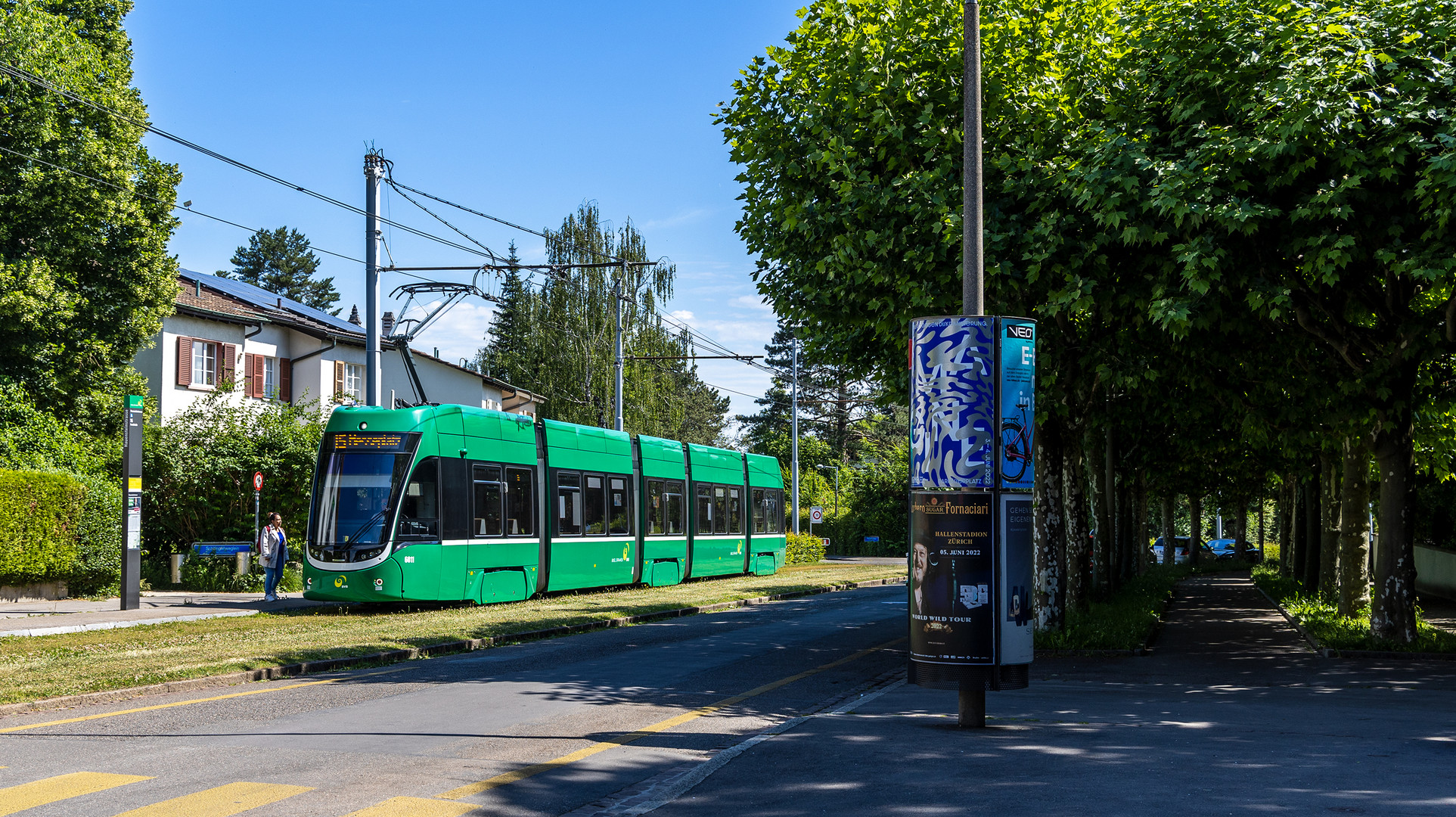 Auf dem Bruderholz - VI -