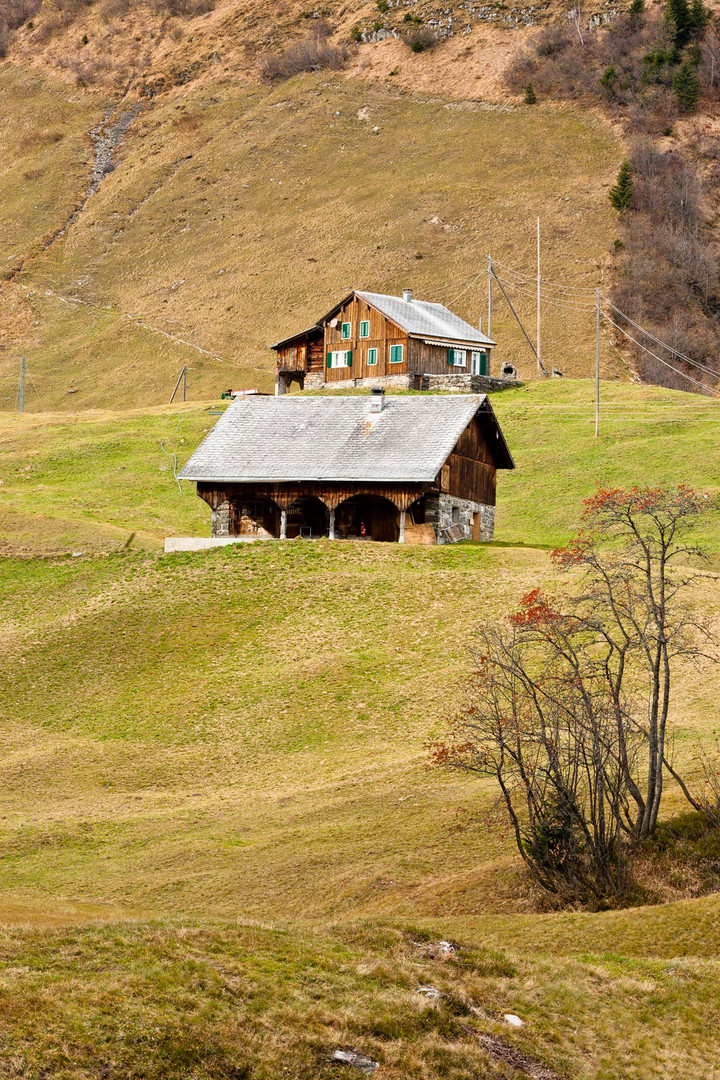 Auf dem Brüsti