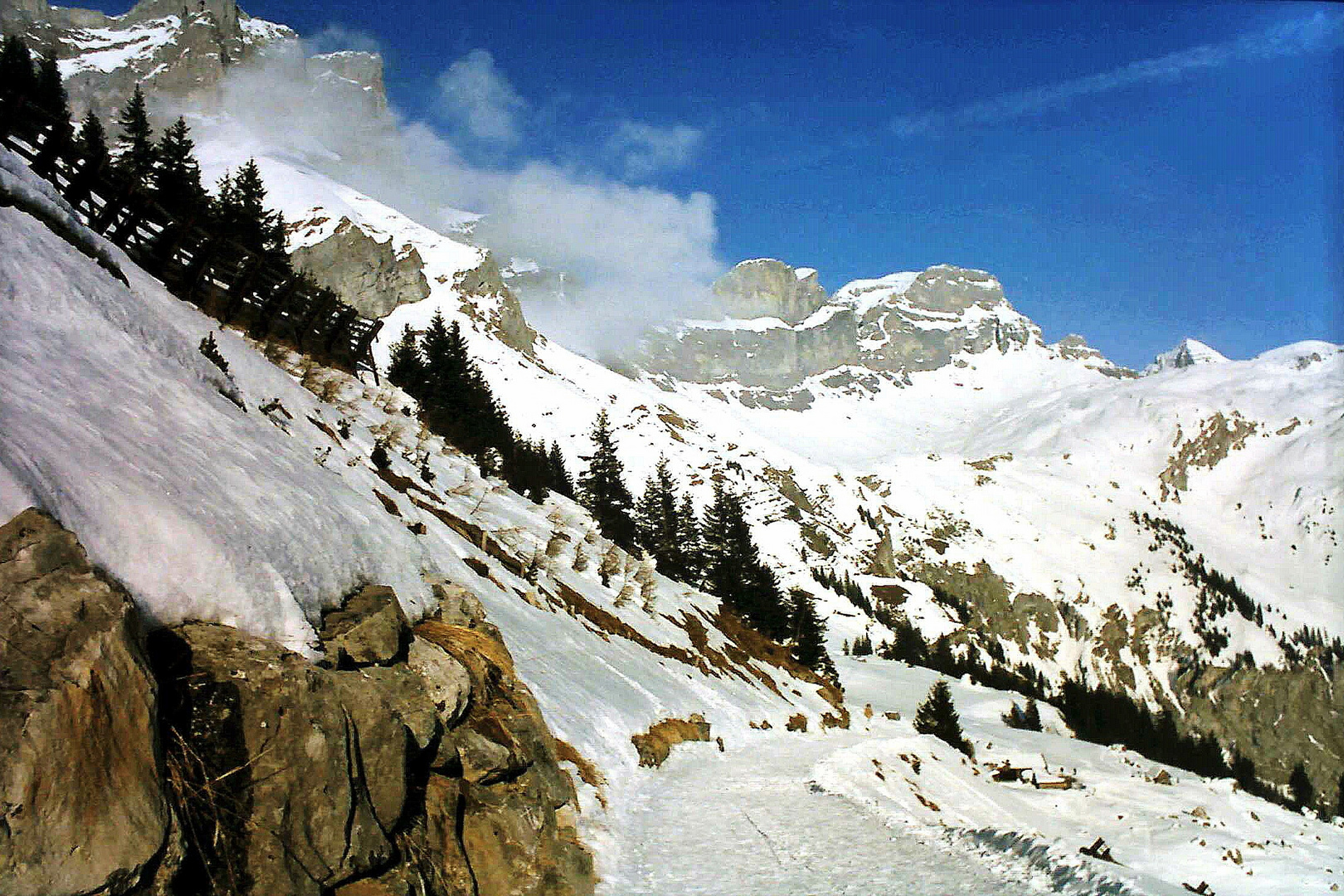 Auf dem Brunniweg in den Alpen/CH bei Engelberg.