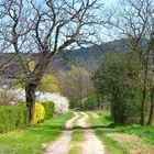 Auf dem bunten Wanderweg...