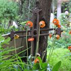 Auf dem Campo Santo Teutonico, dem deutschen Friedhof im Vatikan 2