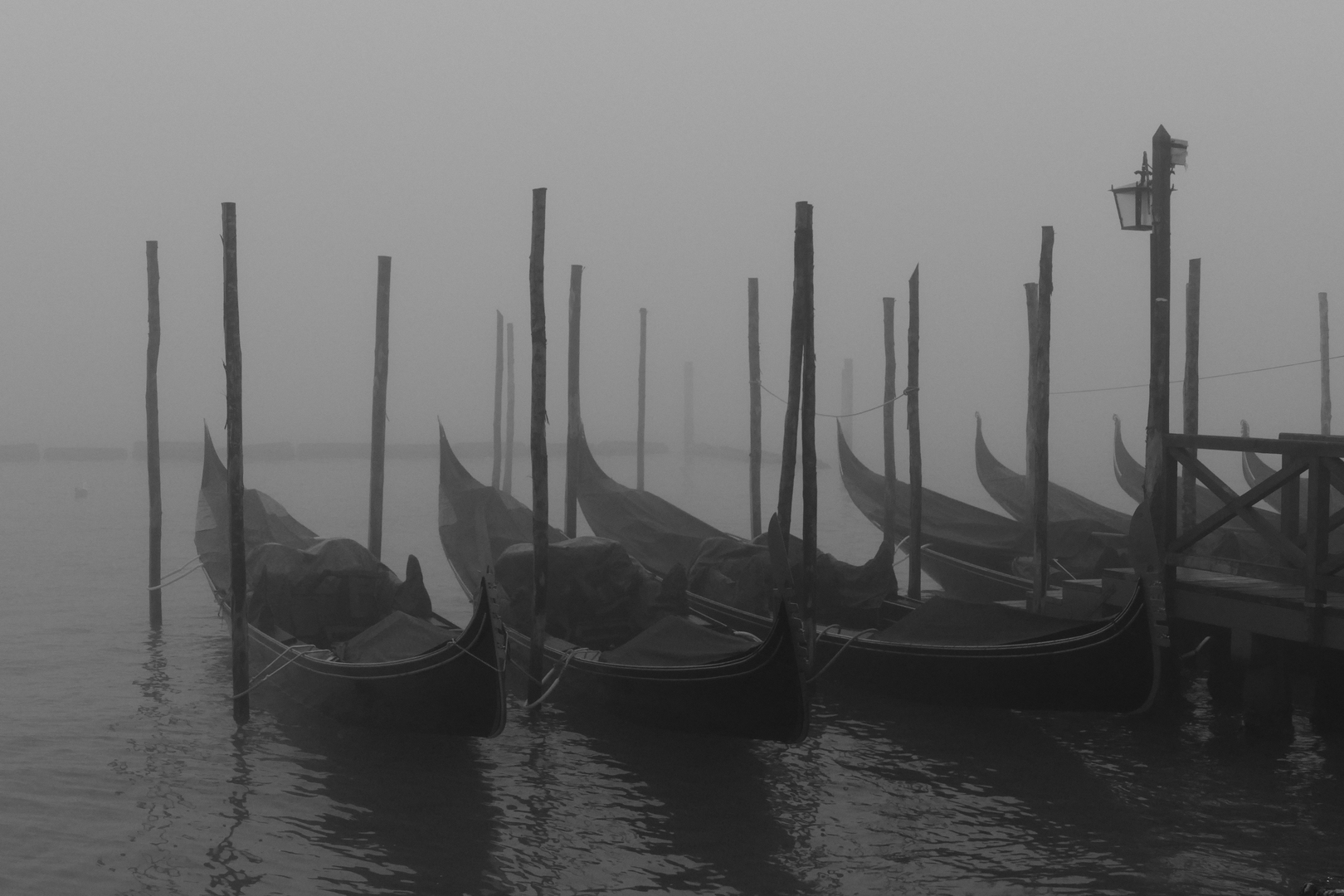 Auf dem Canal Grande