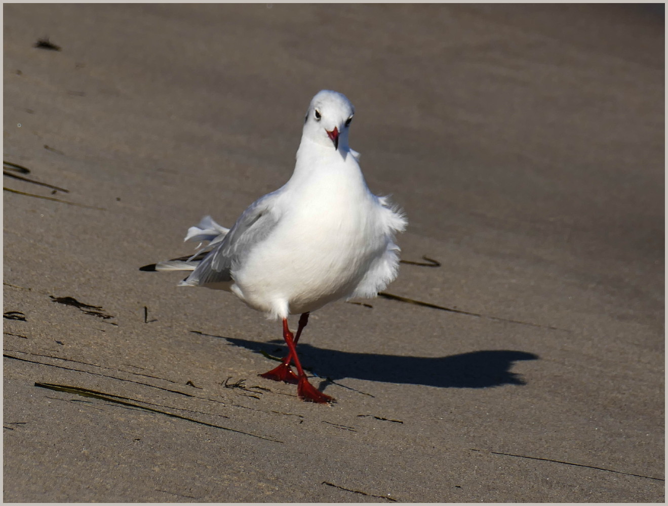 Auf dem Catwalk...