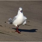 Auf dem Catwalk...