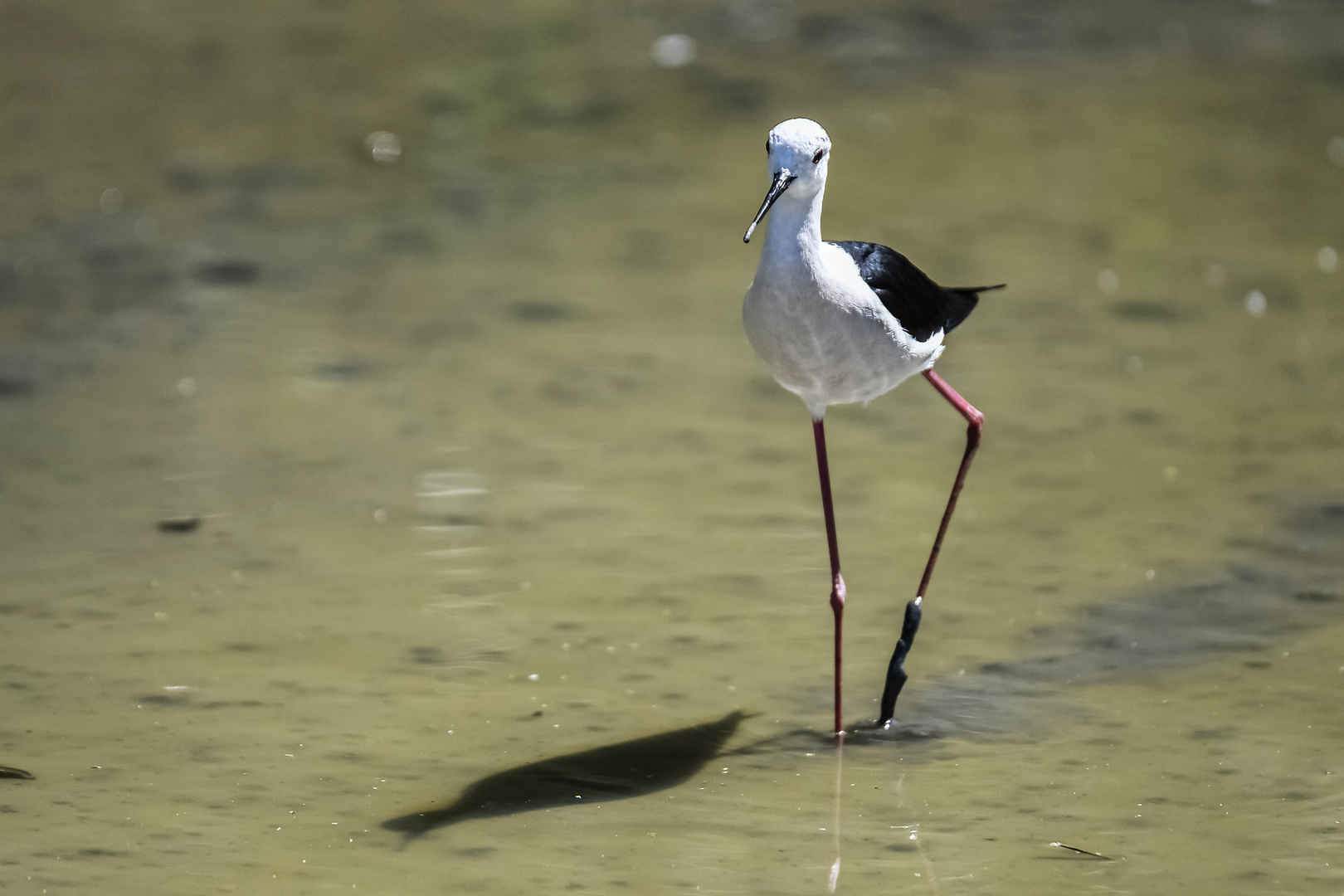 Auf dem Catwalk