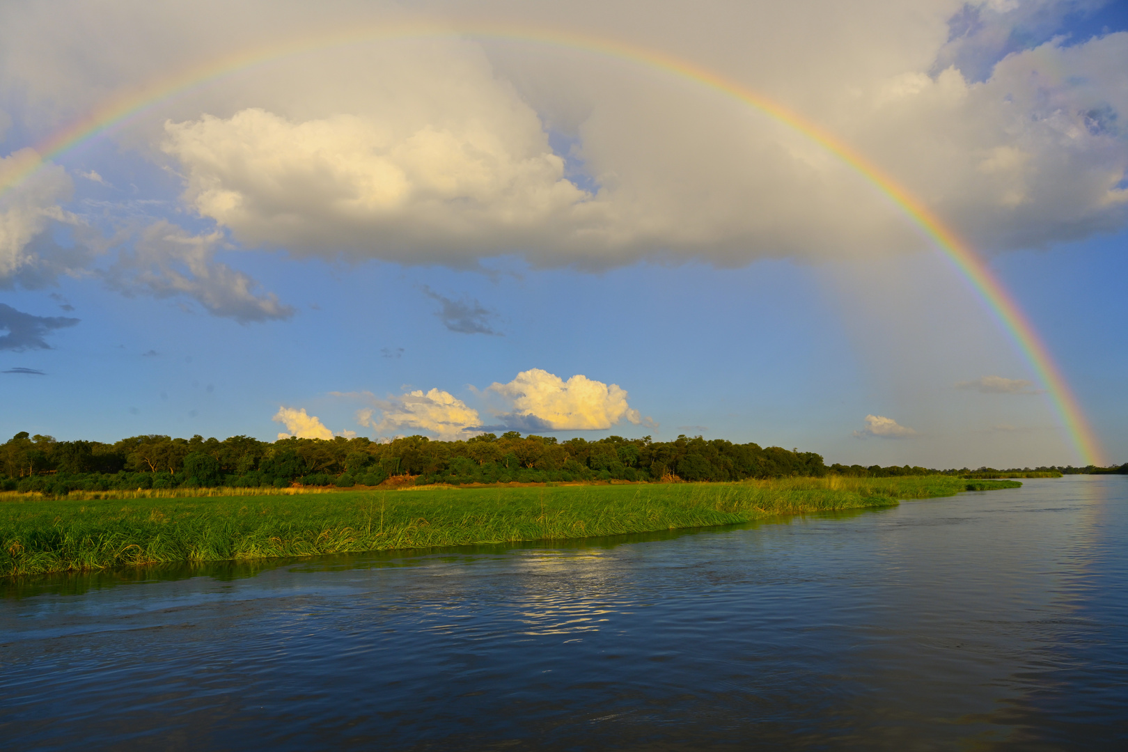 Auf dem Chobe