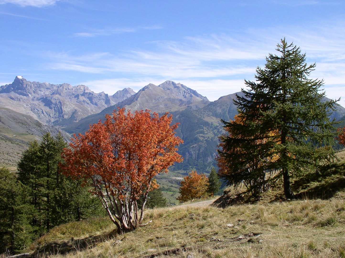 Auf dem Col de Vars 2109m