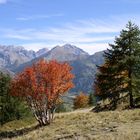 Auf dem Col de Vars 2109m