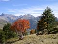 Auf dem Col de Vars 2109m von Regina und Volker