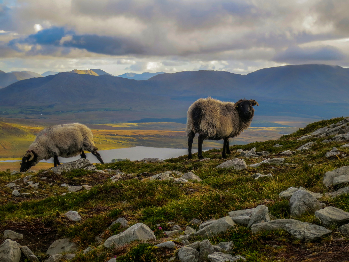 Auf dem Croagh Patrick