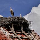 Auf dem Dach eines Bauernhauses