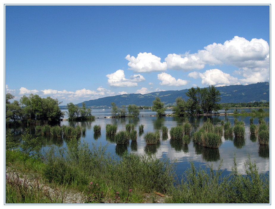 Auf dem Damm der Rheinmündung in den Bodensee