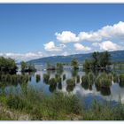 Auf dem Damm der Rheinmündung in den Bodensee