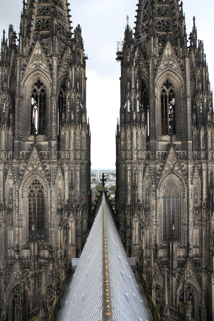 auf dem Domdach in Köln