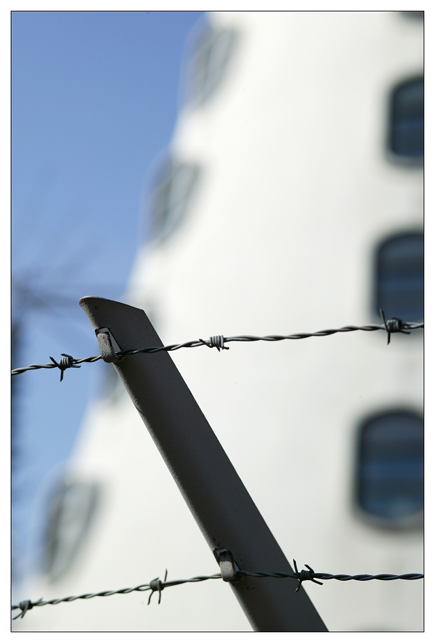 Auf dem Donnersberg - Stacheldrahtverhau