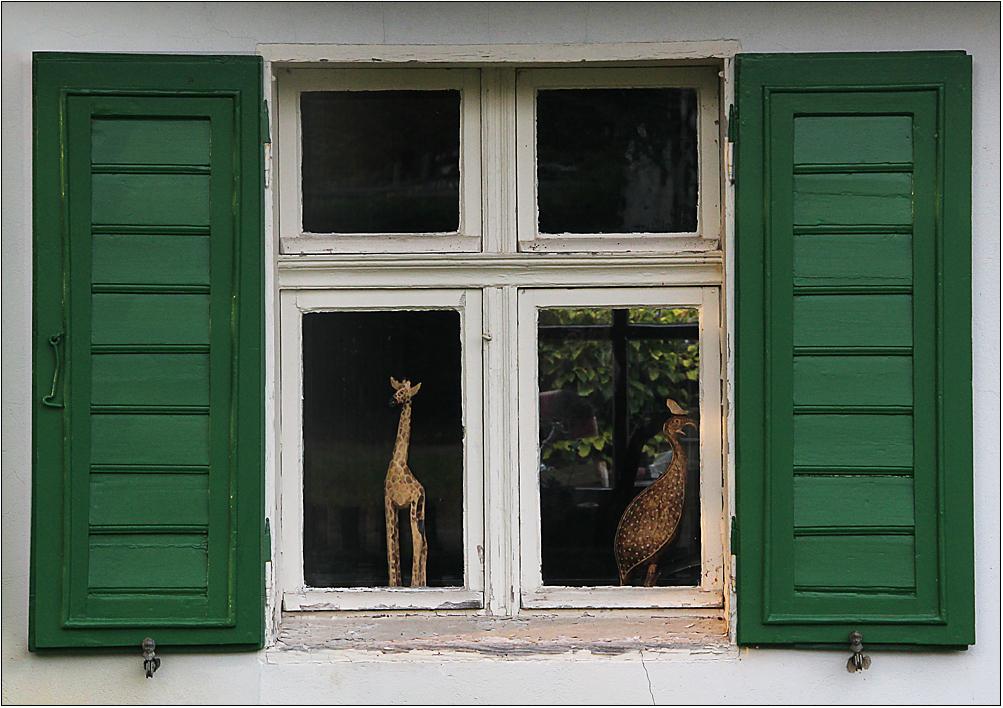 Auf dem Dorf sind Giraffen ...