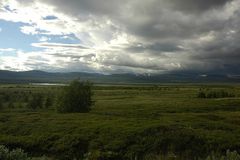 Auf dem Dovrefjell