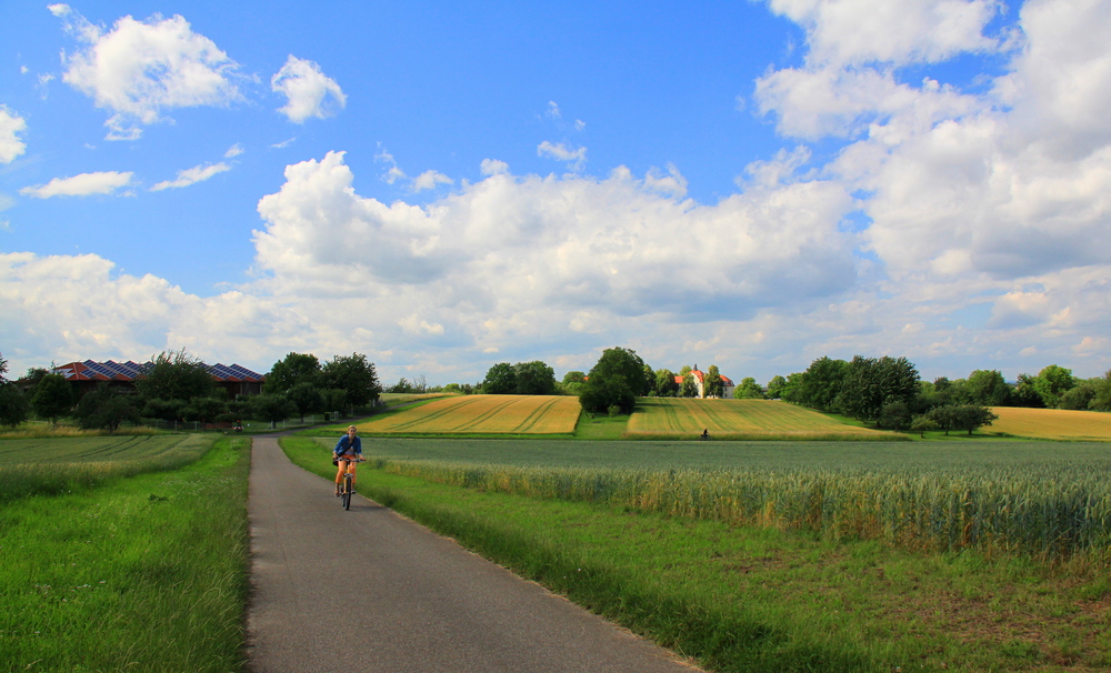 Auf dem Drahtesel