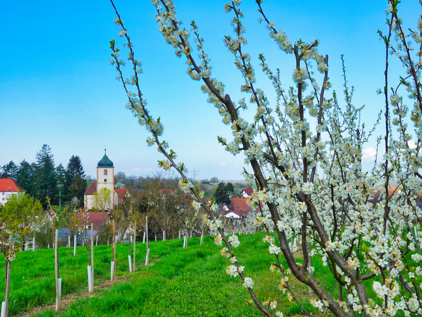 Auf dem Dreikirschenweg unterwegs 