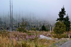 Auf dem Dreisesselberg…