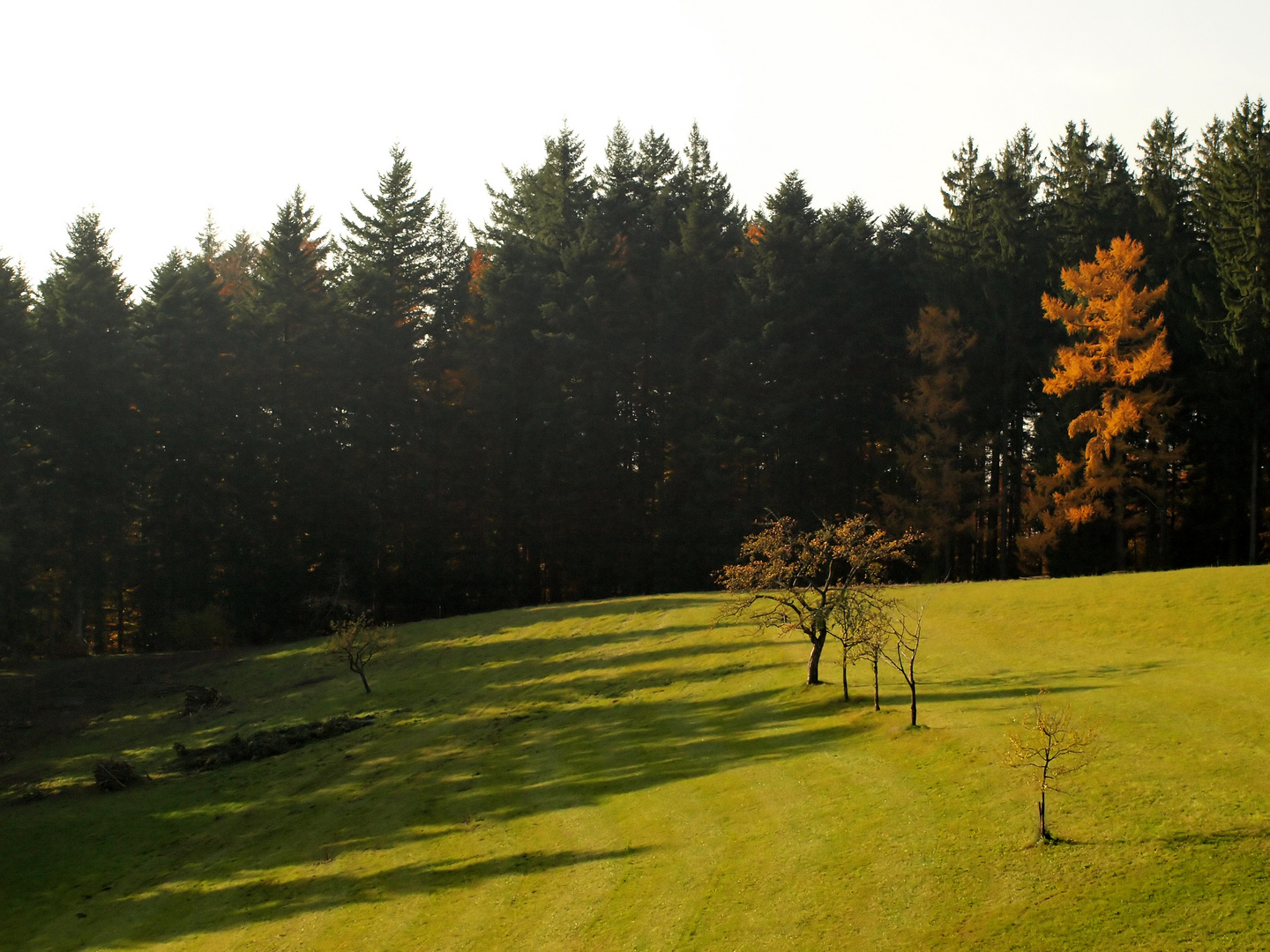 Auf dem Durben