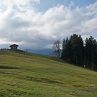 Auf dem Eckbauer (1.237 m) bei Garmisch-Partenkirchen .